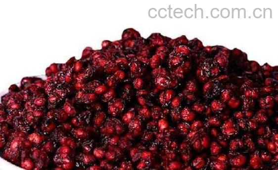 五味子的功效与作用 五味子的副作用-0