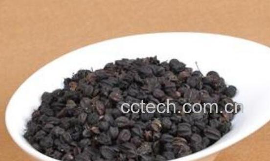 刺五加籽怎么吃 刺五加籽怎样治失眠-1