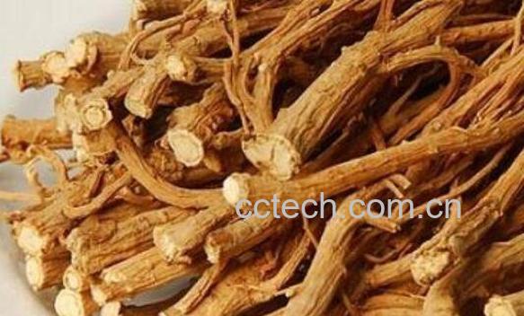 北柴胡的功效与作用及药用价值-0