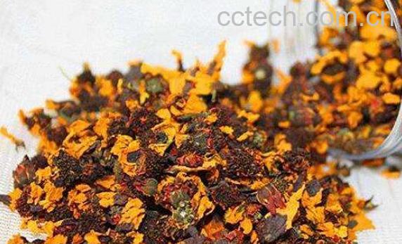 雪菊的功效与作用及冲泡方法-0