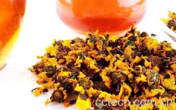 雪菊的功效与作用及冲泡方法-1