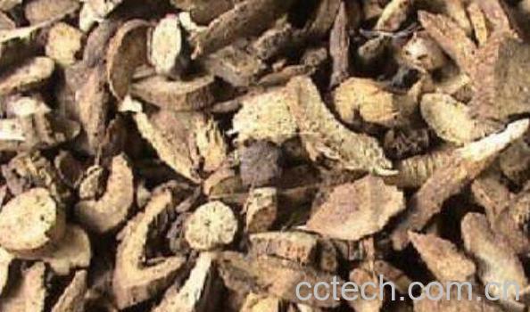 木香的功效与作用 木香的常见用法-0