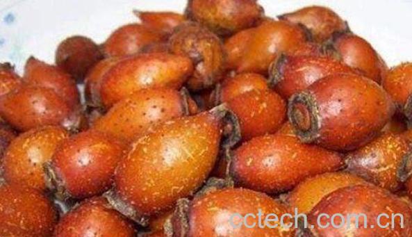 金樱子肉的功效与作用-1