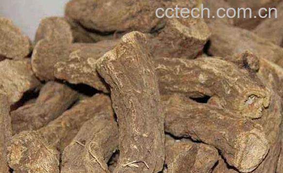 木香的功效与作用 木香的常见用法-1