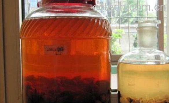 金樱子酒的功效与作用-0