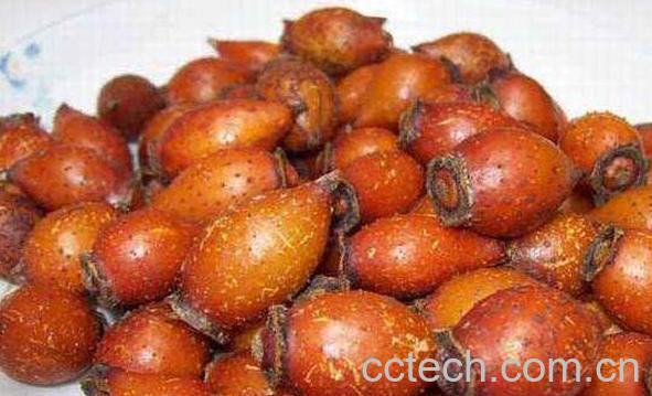 金樱子酒的功效与作用-1