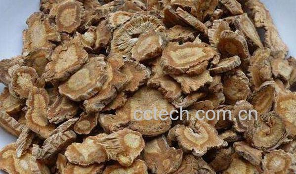 防风的功效与作用 防风的常见用法-1