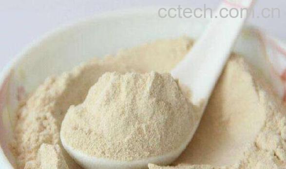 人参皂苷的功效与作用-1