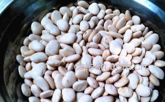 炒白扁豆的功效与作用及药用价值-1