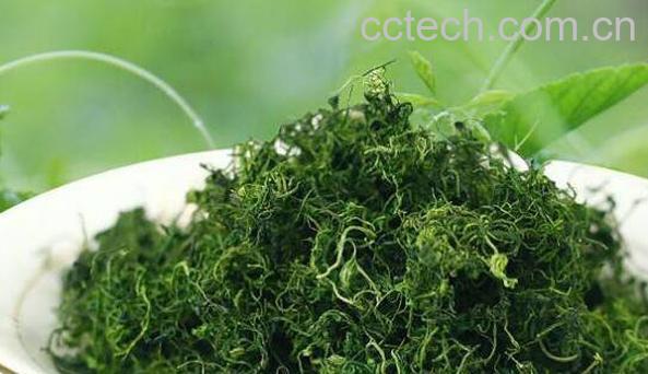 七叶绞股蓝的功效与作用-0