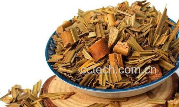 铁树叶的功效与作用及使用禁忌-0