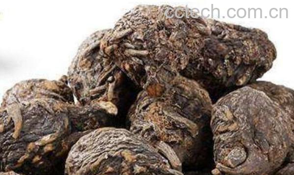 吗咖的功效与作用 吗咖的服用方法-1