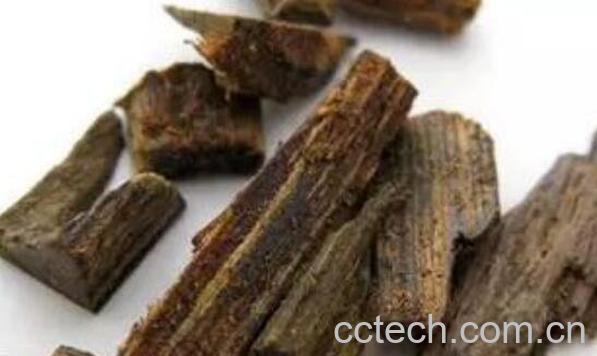 沉香的功效与作用 沉香的禁忌-1
