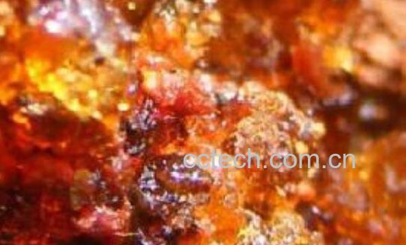 松脂的功效与作用及药用价值-0