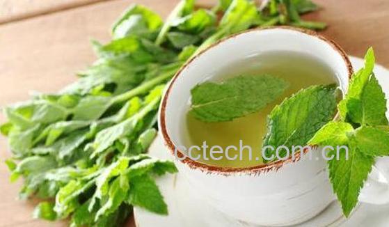 薄荷叶和什么泡茶 薄荷叶泡茶的方法技巧-0