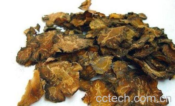 川芎的功效与作用及食用方法-1