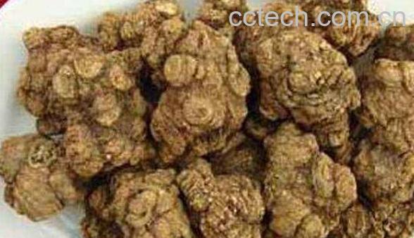 川芎的功效与作用及食用方法-0