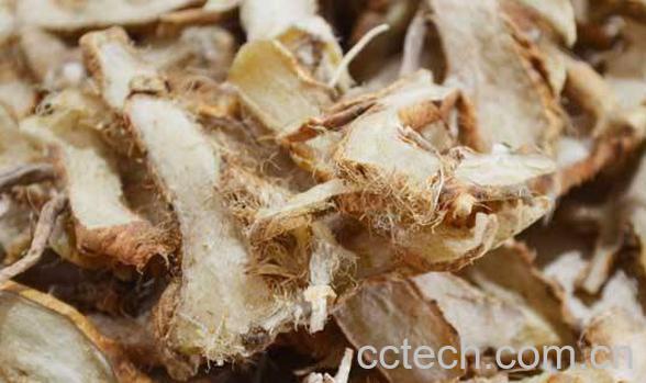 知母的功效与作用及药用价值-1