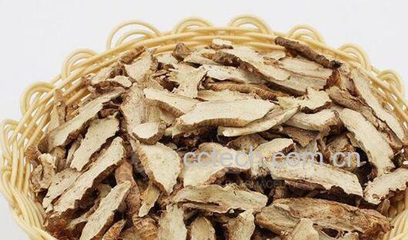 知母的功效与作用及药用价值-0