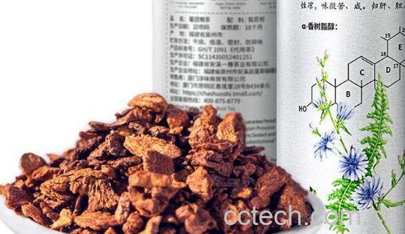 苦苣根的功效与作用 苦菜根泡水喝的功效-1