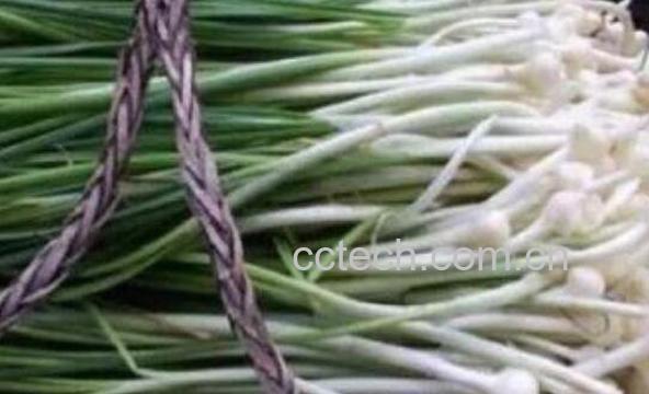 薤白的功效与作用及药用价值-0