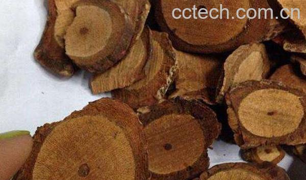 藤梨根的功效与作用及药用价值-1