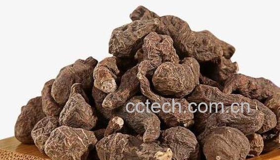 蕨麻不适合什么人吃 蕨麻不能和什么一起吃-0