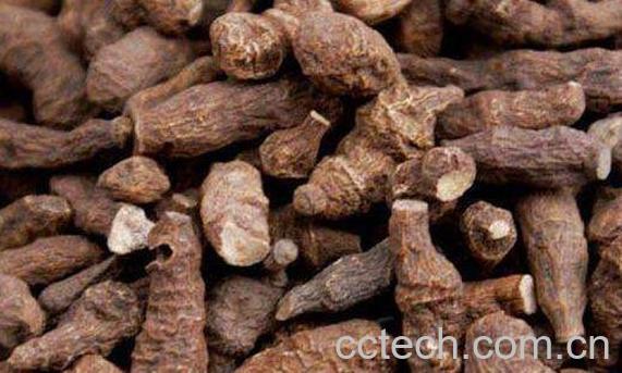 蕨麻怎么吃 蕨麻的食用方法-1