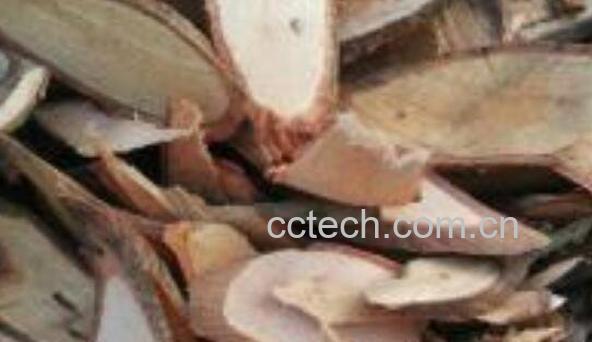 白饭树根的功效与作用及药用价值-0