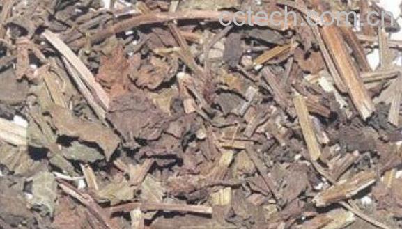 地骷髅的功效与作用及药用价值-0