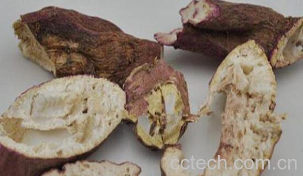 地骷髅的功效与作用及药用价值-1