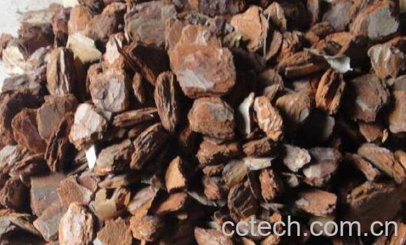 松树皮的功效与作用及药用价值-0