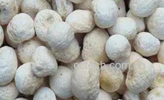 清半夏的功效与作用及食用方法-1