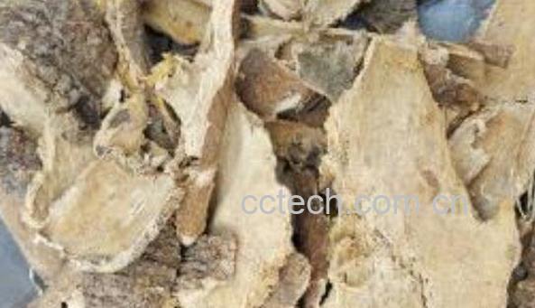 椿根皮的功效与作用-0