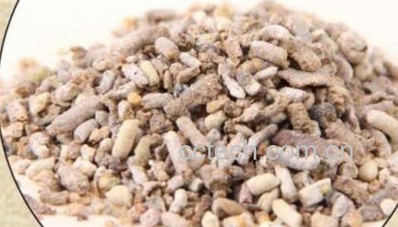 白丁香的功效与作用及药用价值-0