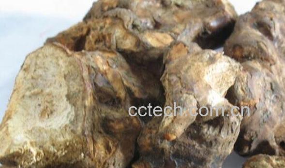 禹粮石的功效与作用及药用价值-1