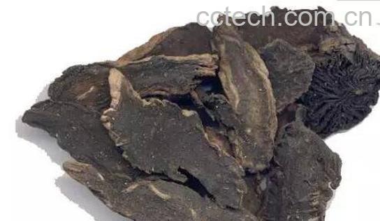 元参的功效与作用 元参的药用价值-1