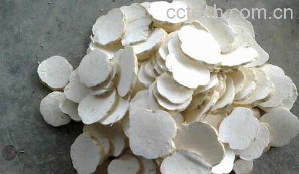 天花粉的功效与作用及药用价值-1