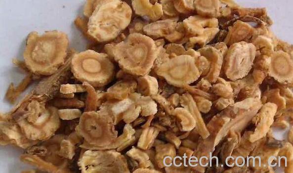 北沙参的功效与作用 北沙参怎么吃-0