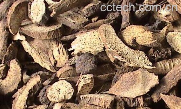 川木香粉的功效与作用-0