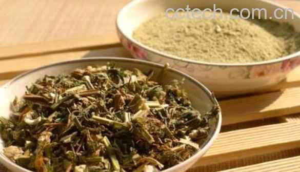 益母草粉的功效与作用及用法-1