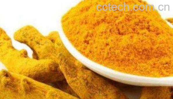 姜黄根粉的功效与作用-0