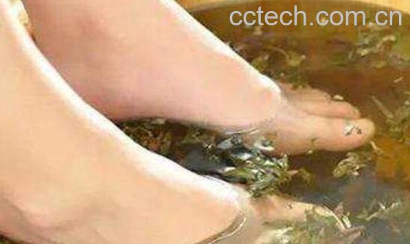 艾叶泡脚的功效与作用 艾叶怎么泡脚-1