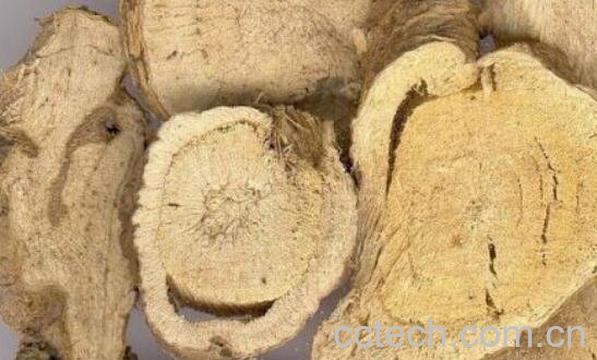 苦参泡水喝有什么功效-1