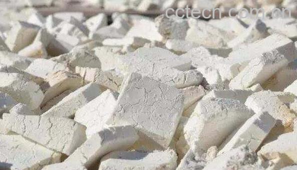 云茯苓粉的功效与作用-1