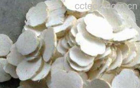 天花粉的功效与作用 天花粉的食用禁忌-1