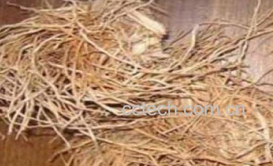 糯稻根的功效与作用及药用价值-1