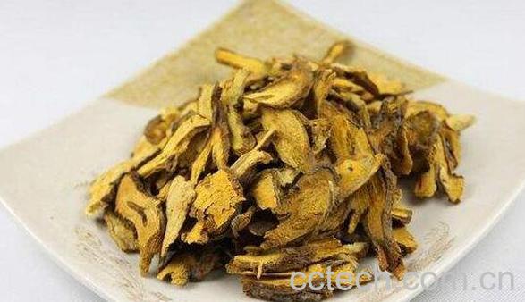 虎杖的功效与作用及药用价值-0