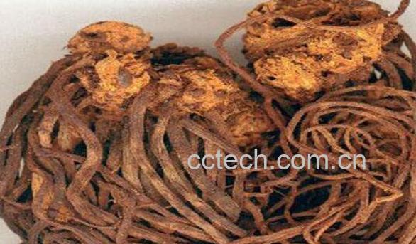 制紫苑与紫菀的区别-0