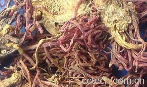 制紫苑与紫菀的区别-1